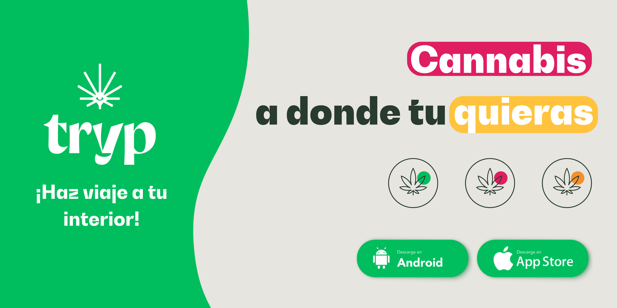 Tryp app de cannabis on demand Mexico