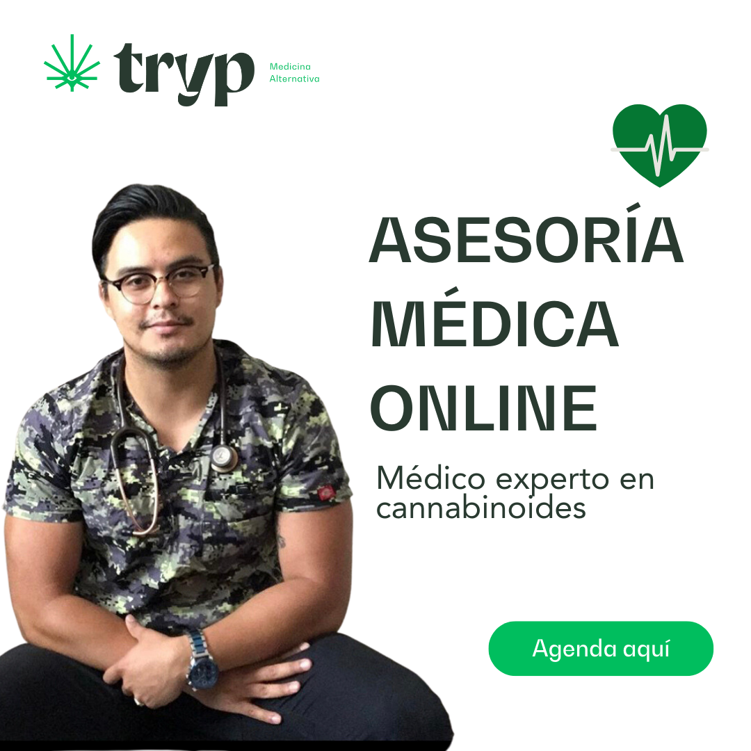 Médico experto en cannabinoides, consulta virtual