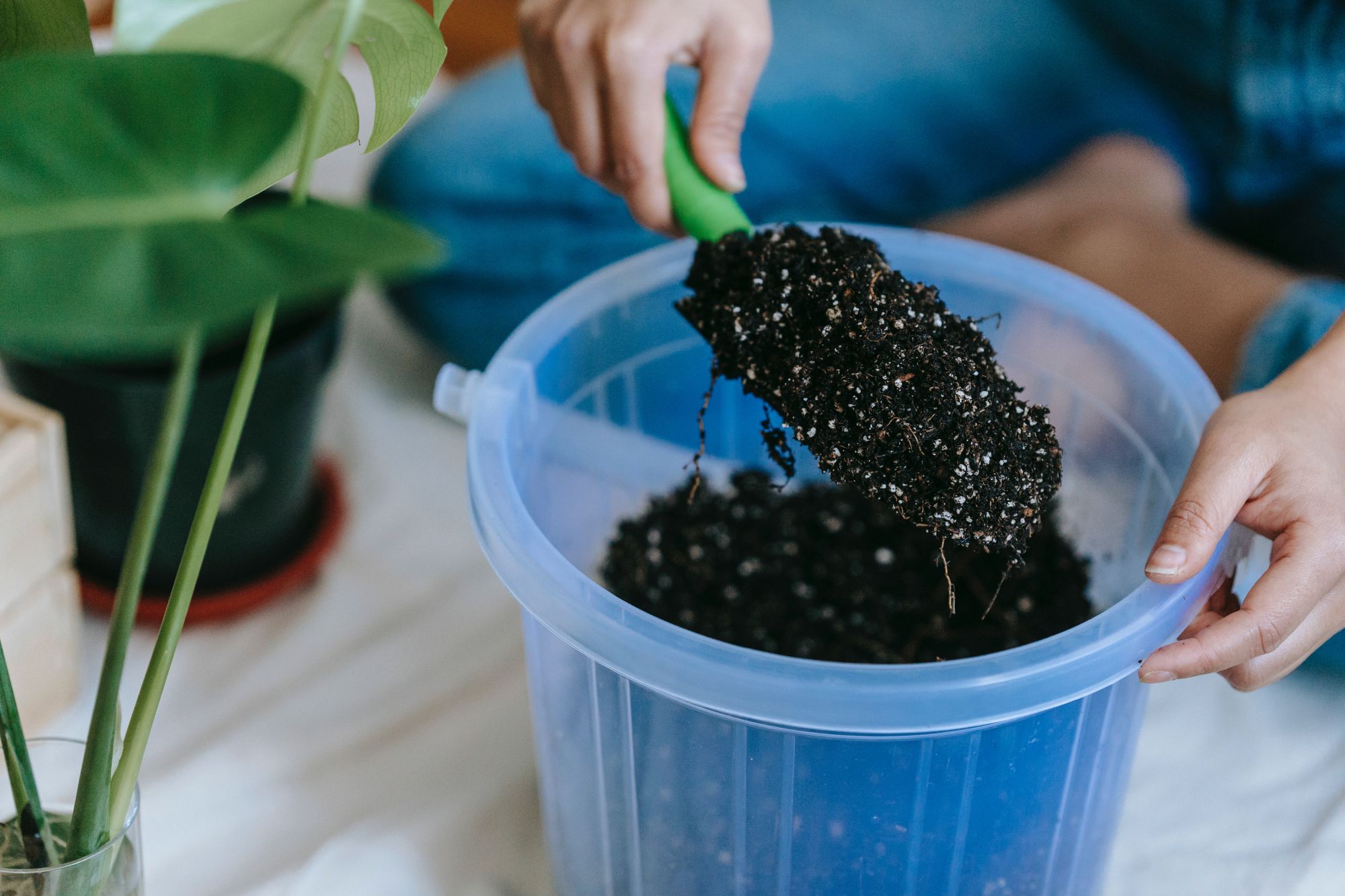 Mezcla de sustratos para germinación de semillas