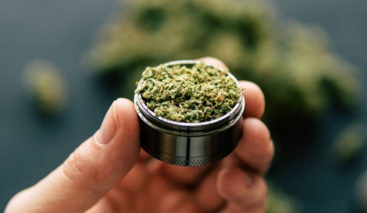 marihuana en un grinder